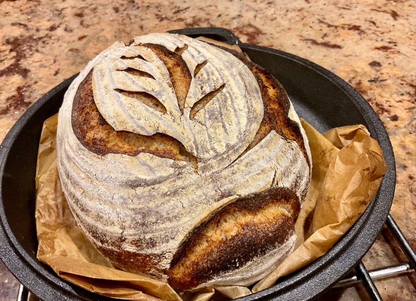 sourdough, bread, realbread, wild yeast, starter, baking, cooking, food, foodie, surrey, uk, levain