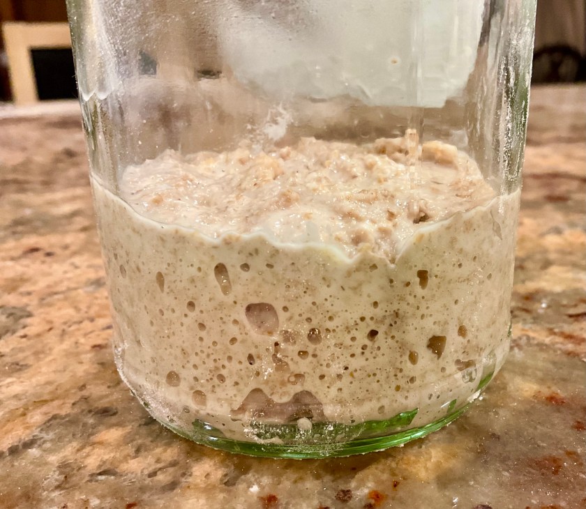 sourdough, bread, realbread, wild yeast, starter, baking, cooking, food, foodie, surrey, uk, levain, stiffstarter, stiff starter, stiff levain