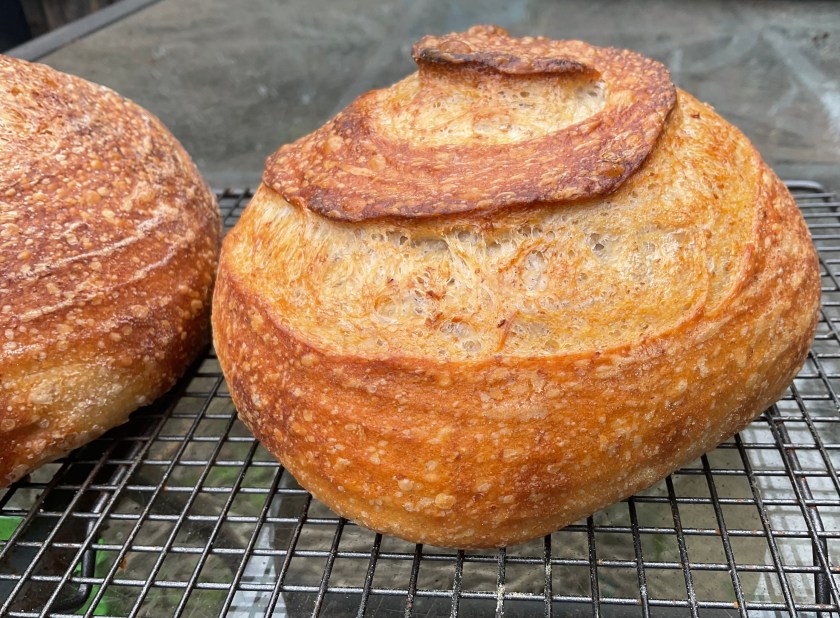 sourdough, bread, realbread, wild yeast, starter, baking, cooking, food, foodie, surrey, uk, levain