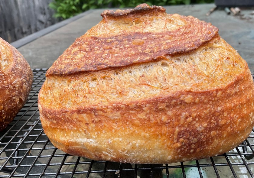 sourdough, bread, realbread, wild yeast, starter, baking, cooking, food, foodie, surrey, uk, levain